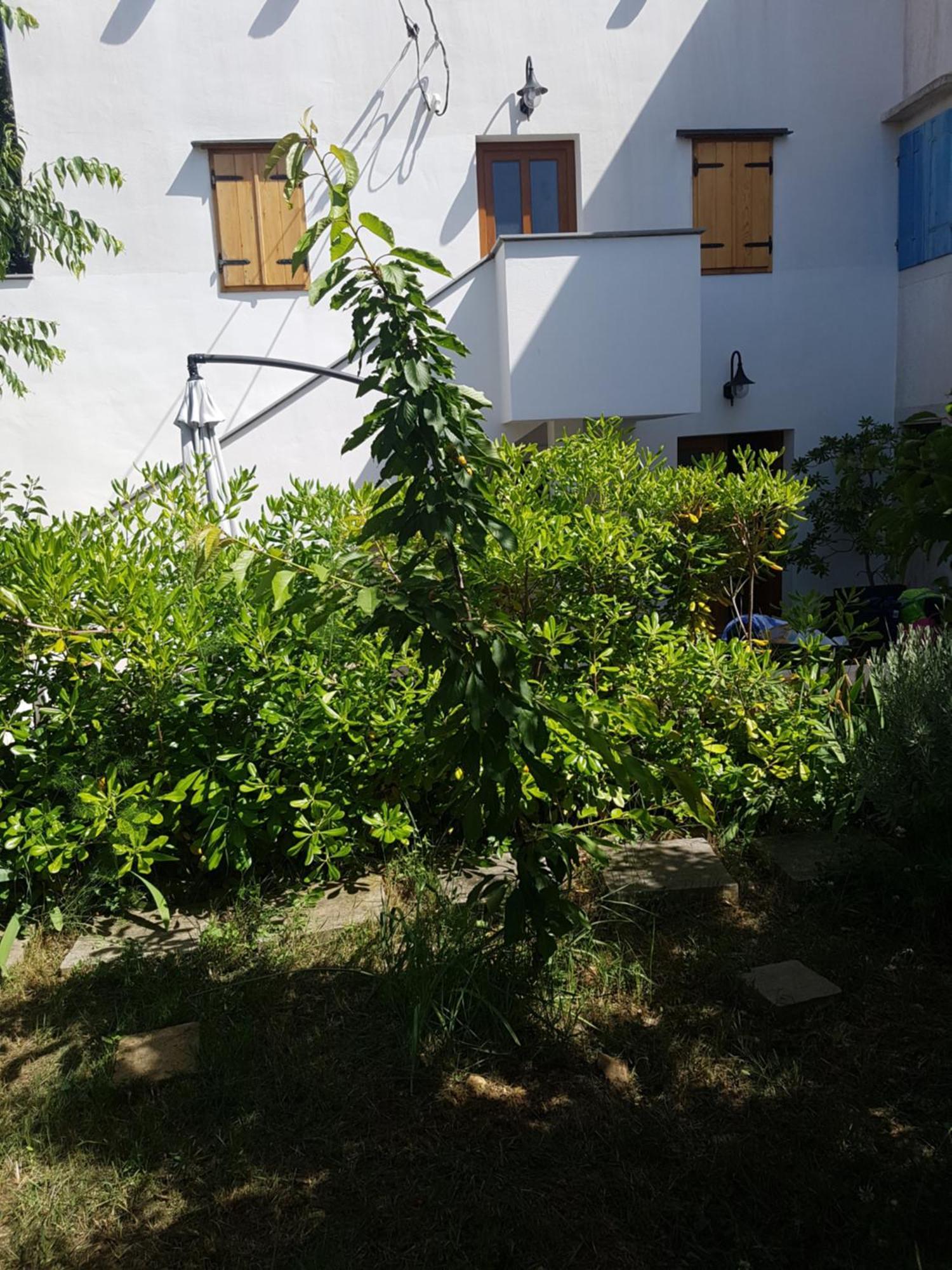 Apartman Stella Maris Veli Losinj Luaran gambar